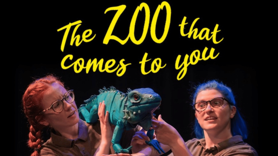 The Zoo that Comes to You - The Spring Spring 2025 Programme Images