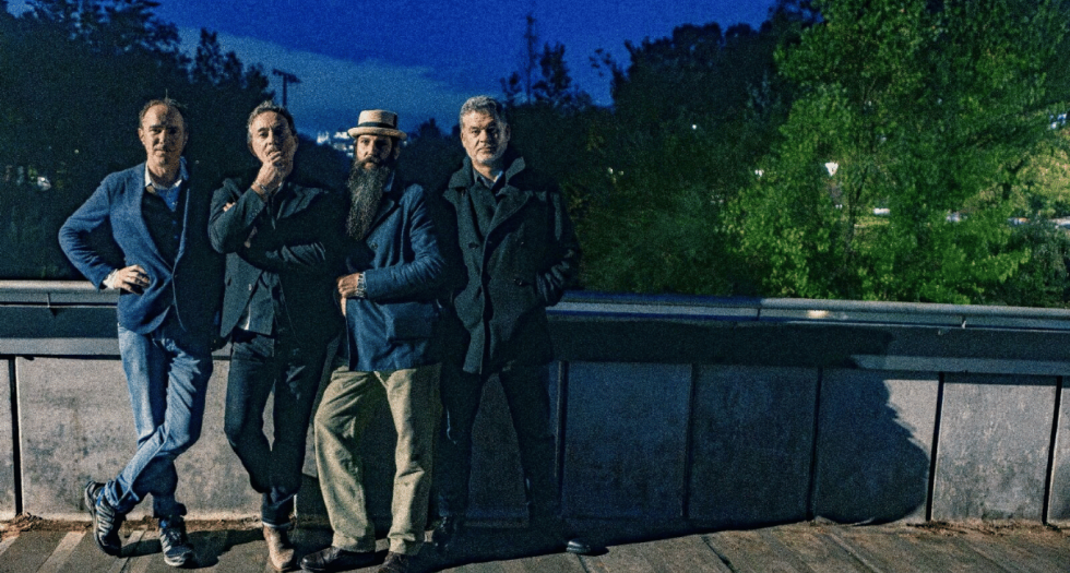 Summer Sessions: Track Dogs